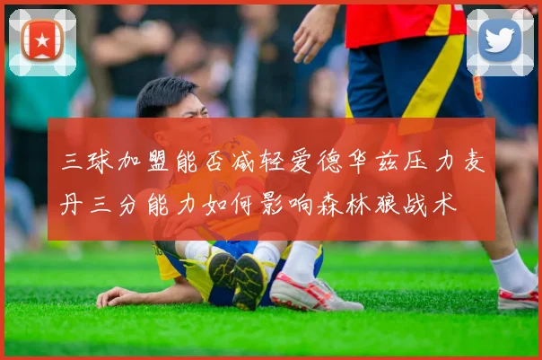 三球加盟能否减轻爱德华兹压力麦丹三分能力如何影响森林狼战术